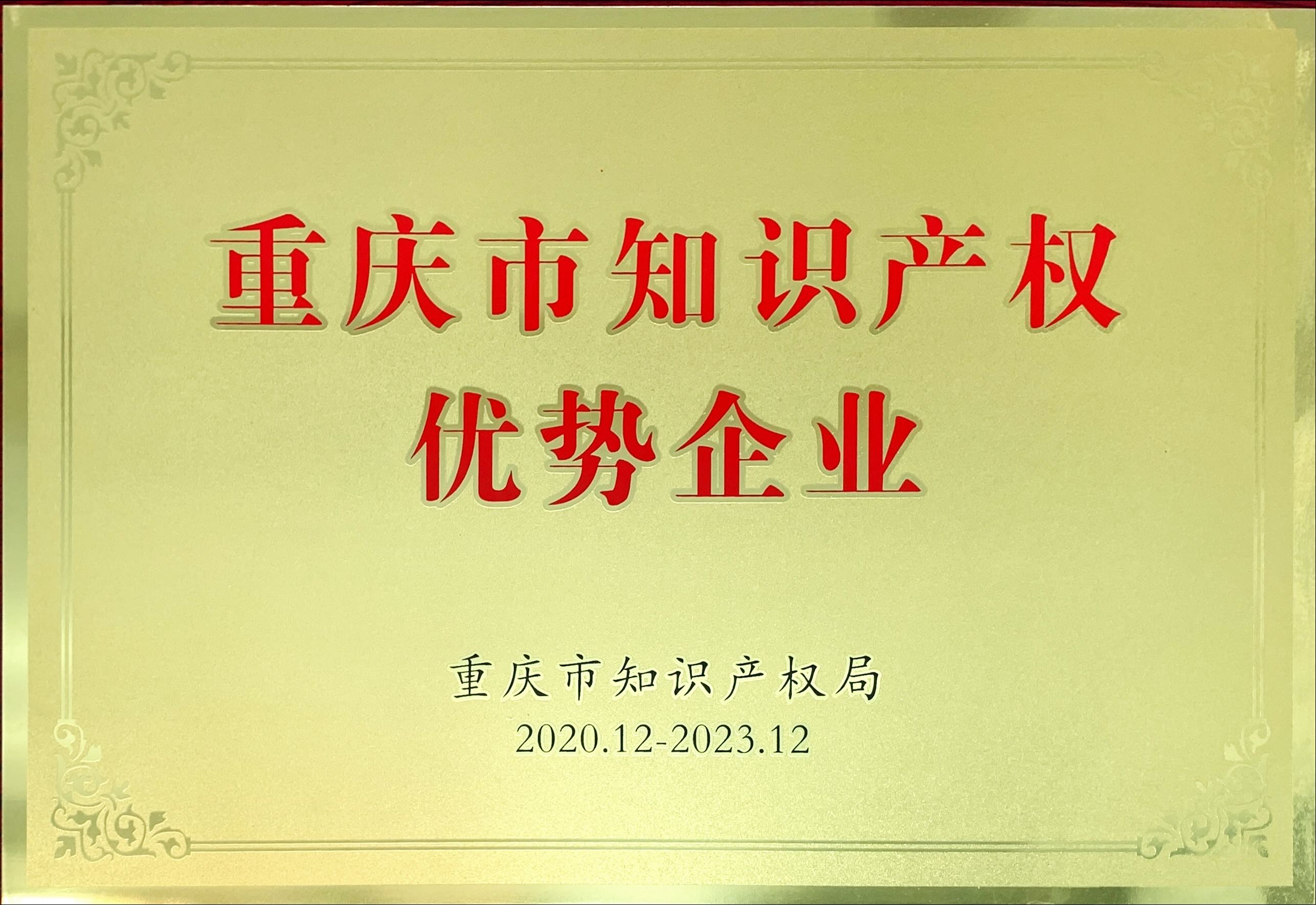 重慶市知識(shí)產(chǎn)權(quán)優(yōu)勢(shì)企業(yè)